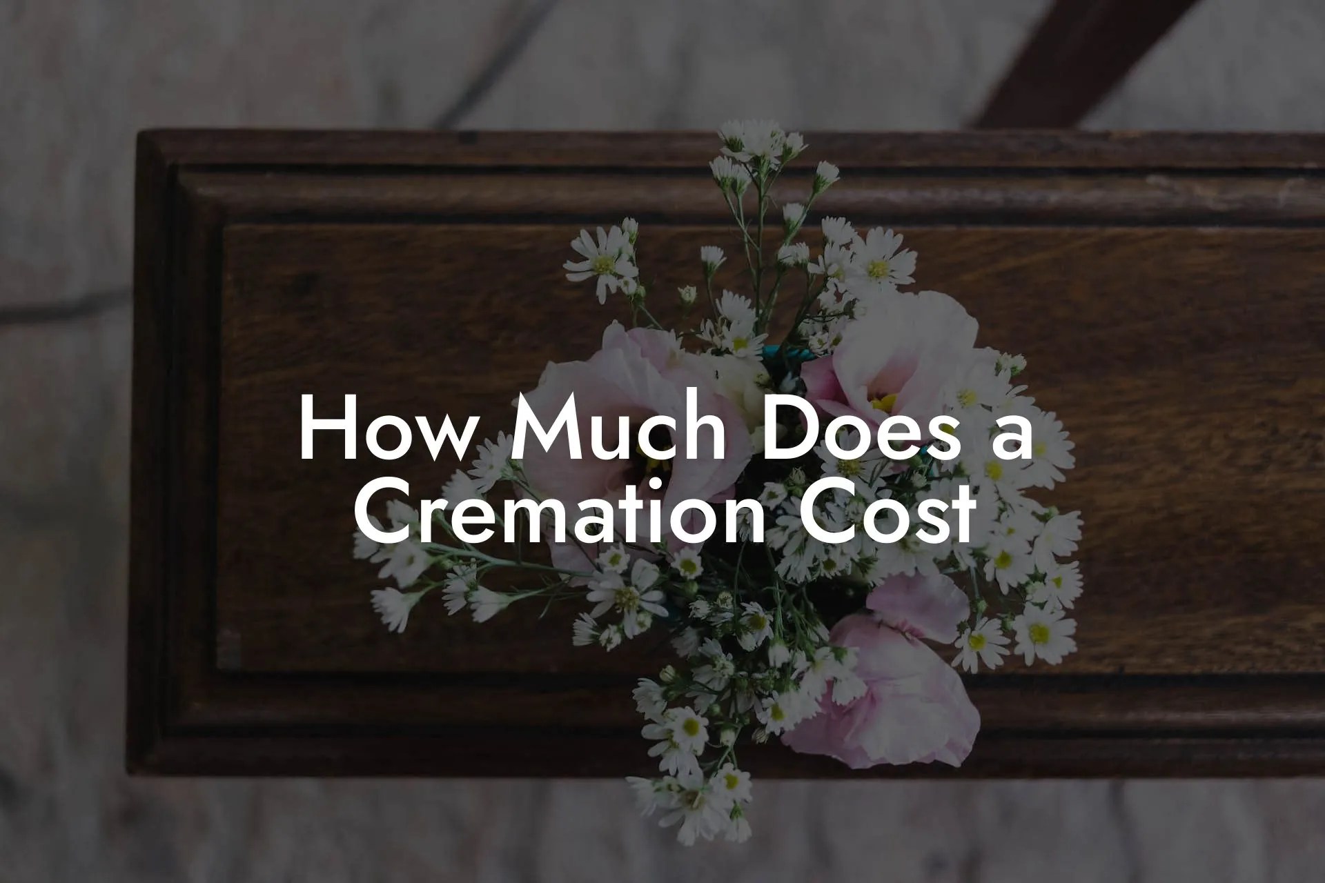 How Much Does a Cremation Cost Eulogy Assistant