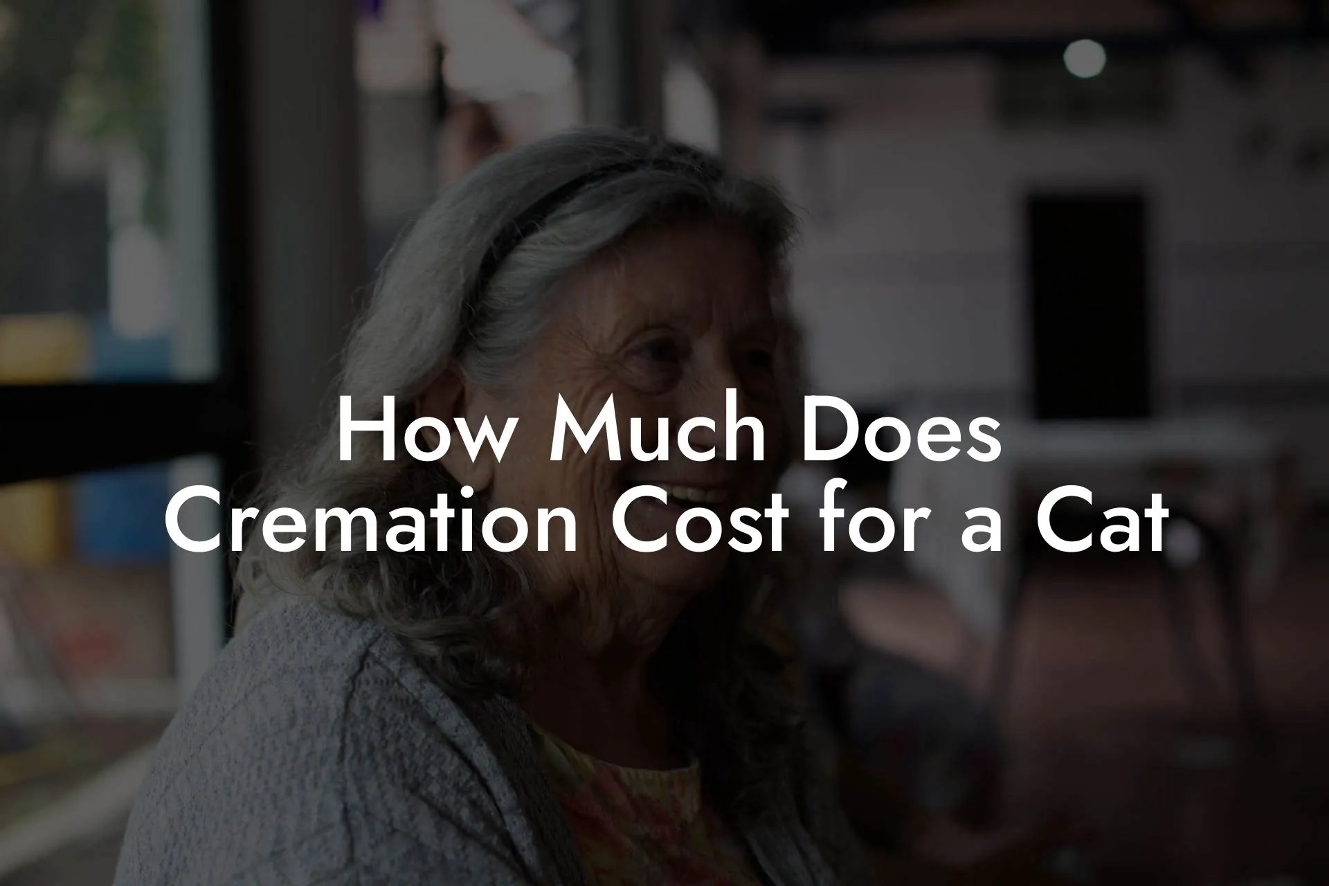How Much Does Cremation Cost for a Cat Eulogy Assistant