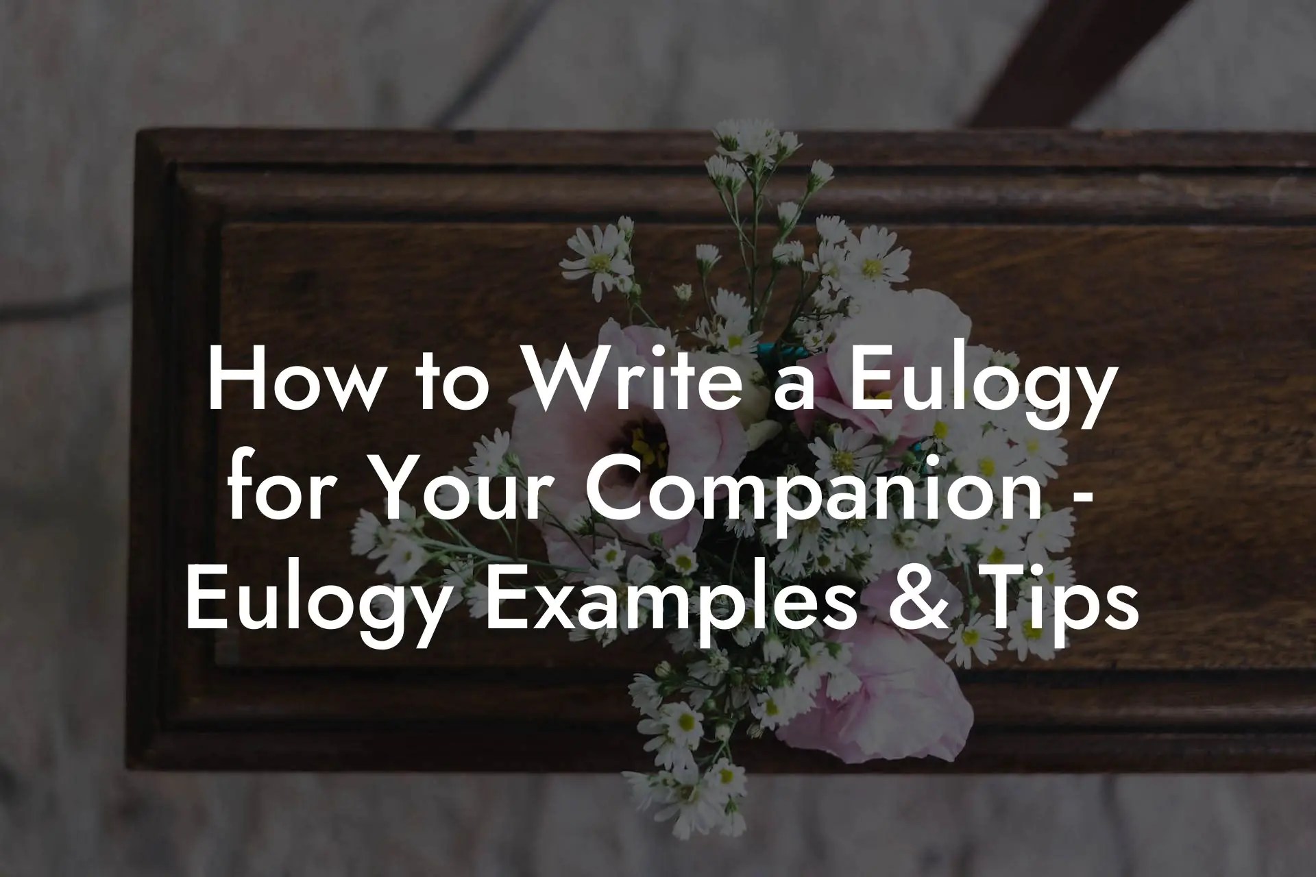 How to Write a Eulogy for Your Companion Eulogy Examples & Tips