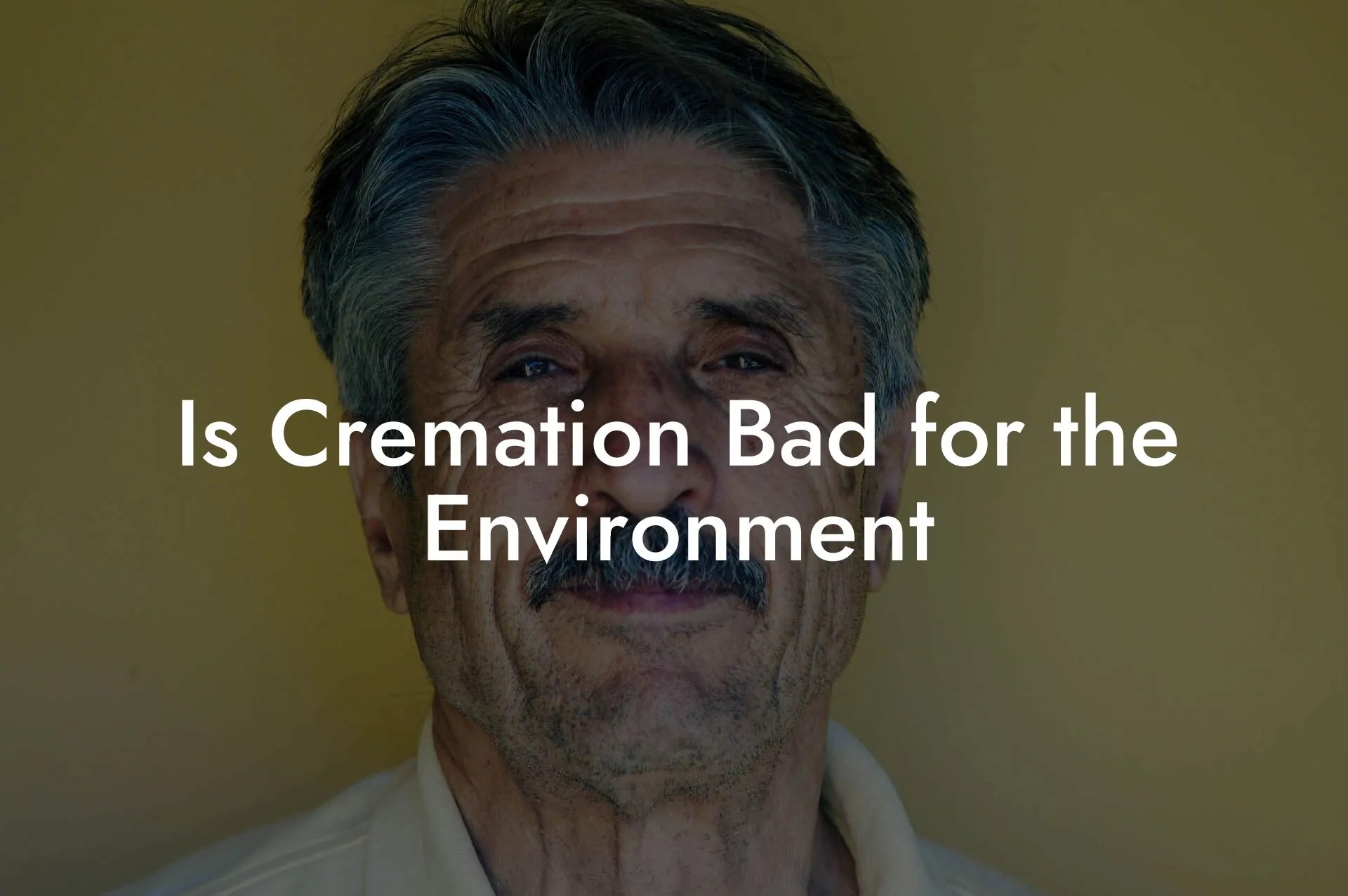 Is Cremation Bad for the Environment Eulogy Assistant