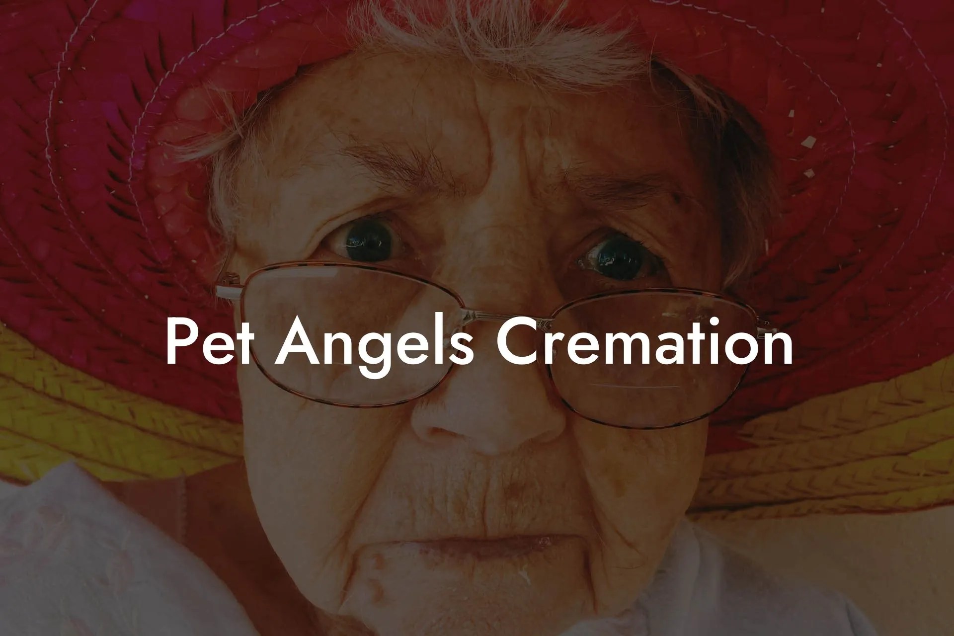 Pet Angels Cremation Eulogy Assistant