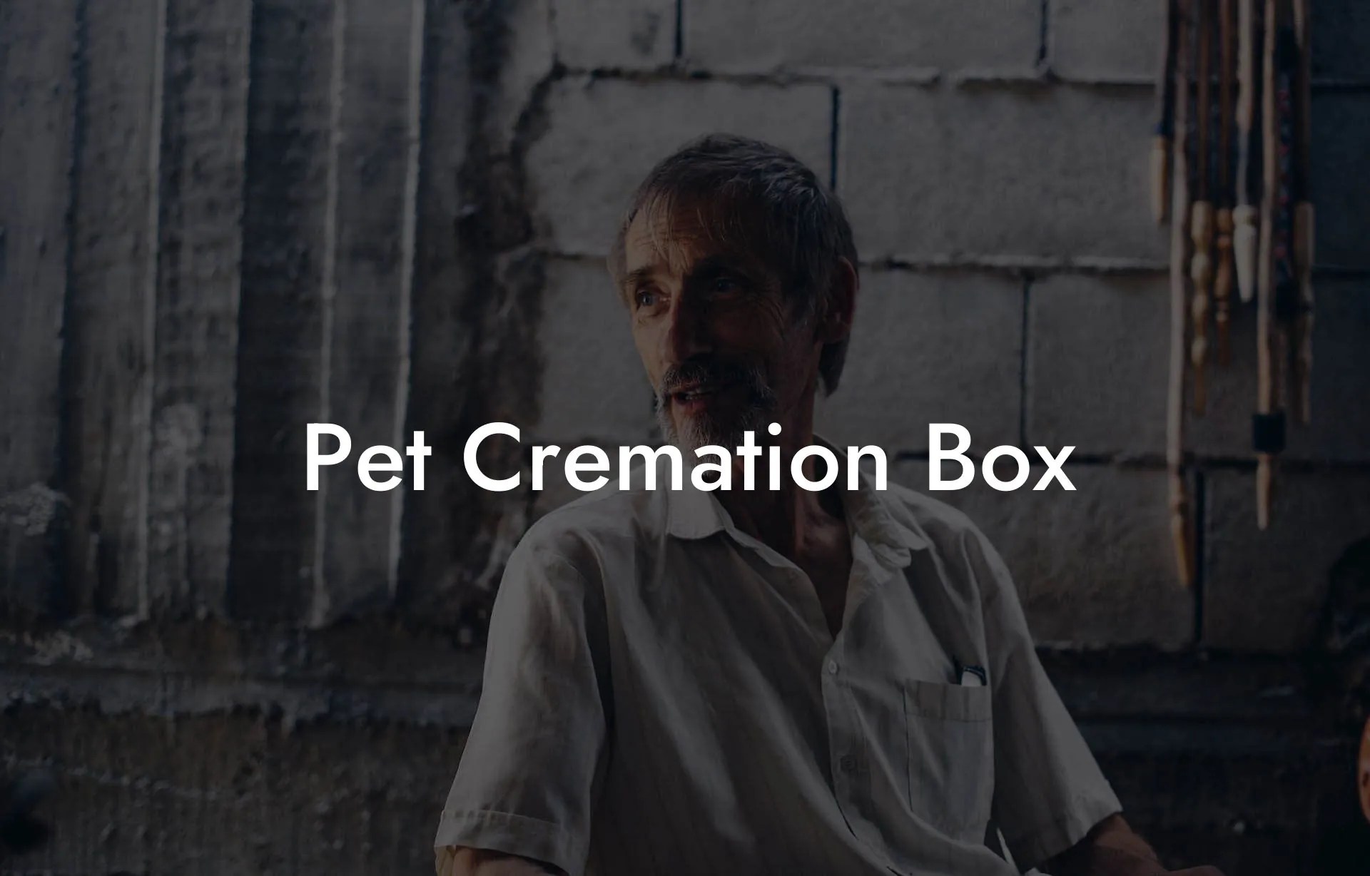 Pet Cremation Box Eulogy Assistant