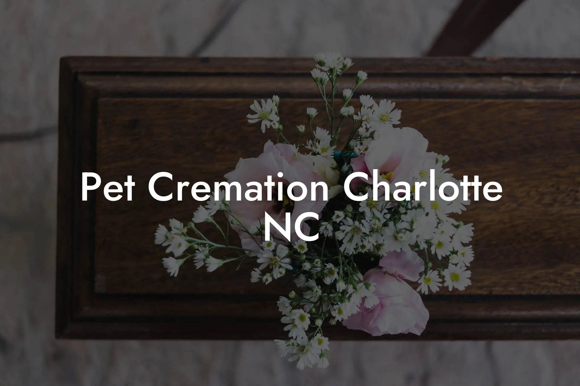 Pet Cremation Charlotte NC Eulogy Assistant