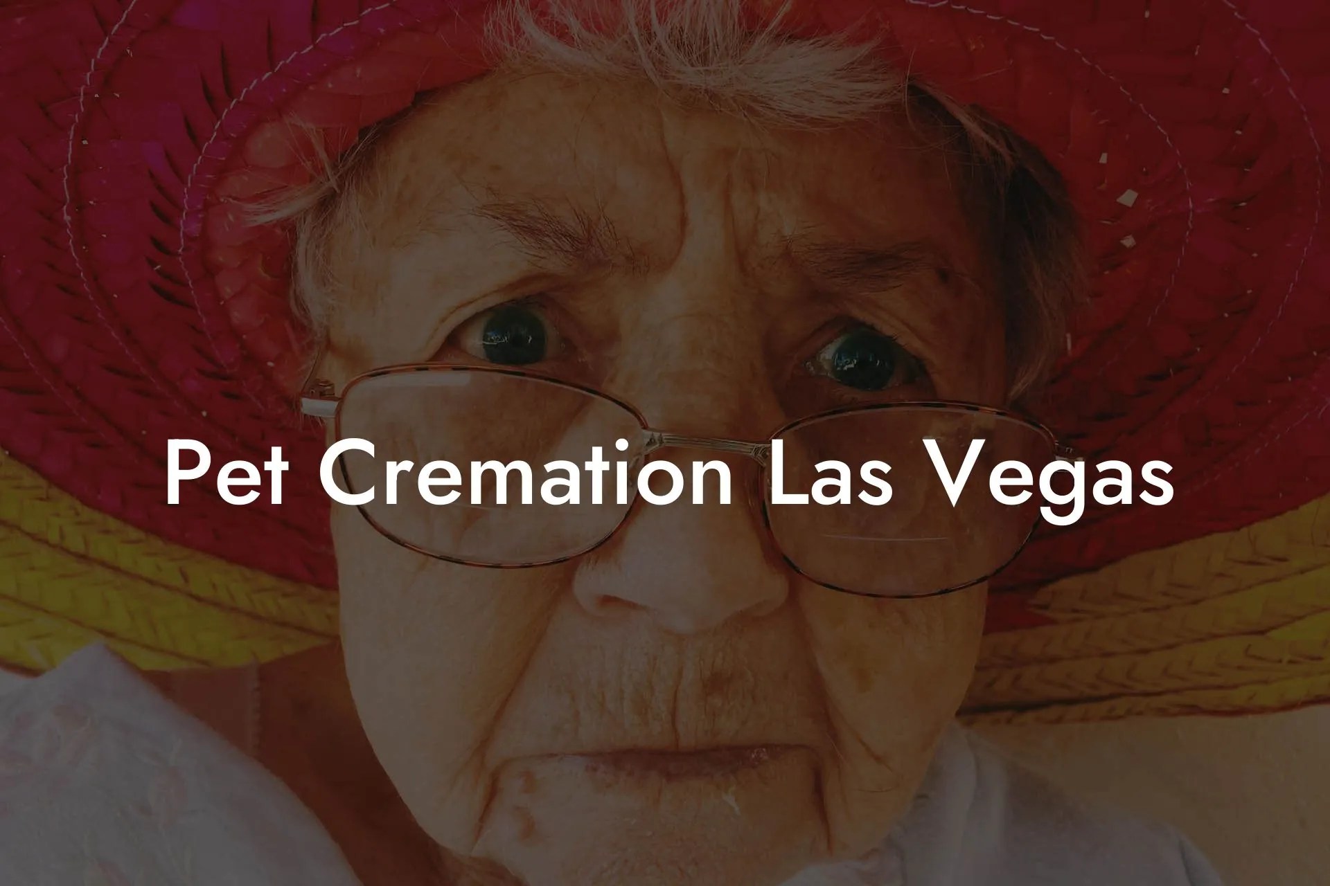 Pet Cremation Las Vegas Eulogy Assistant