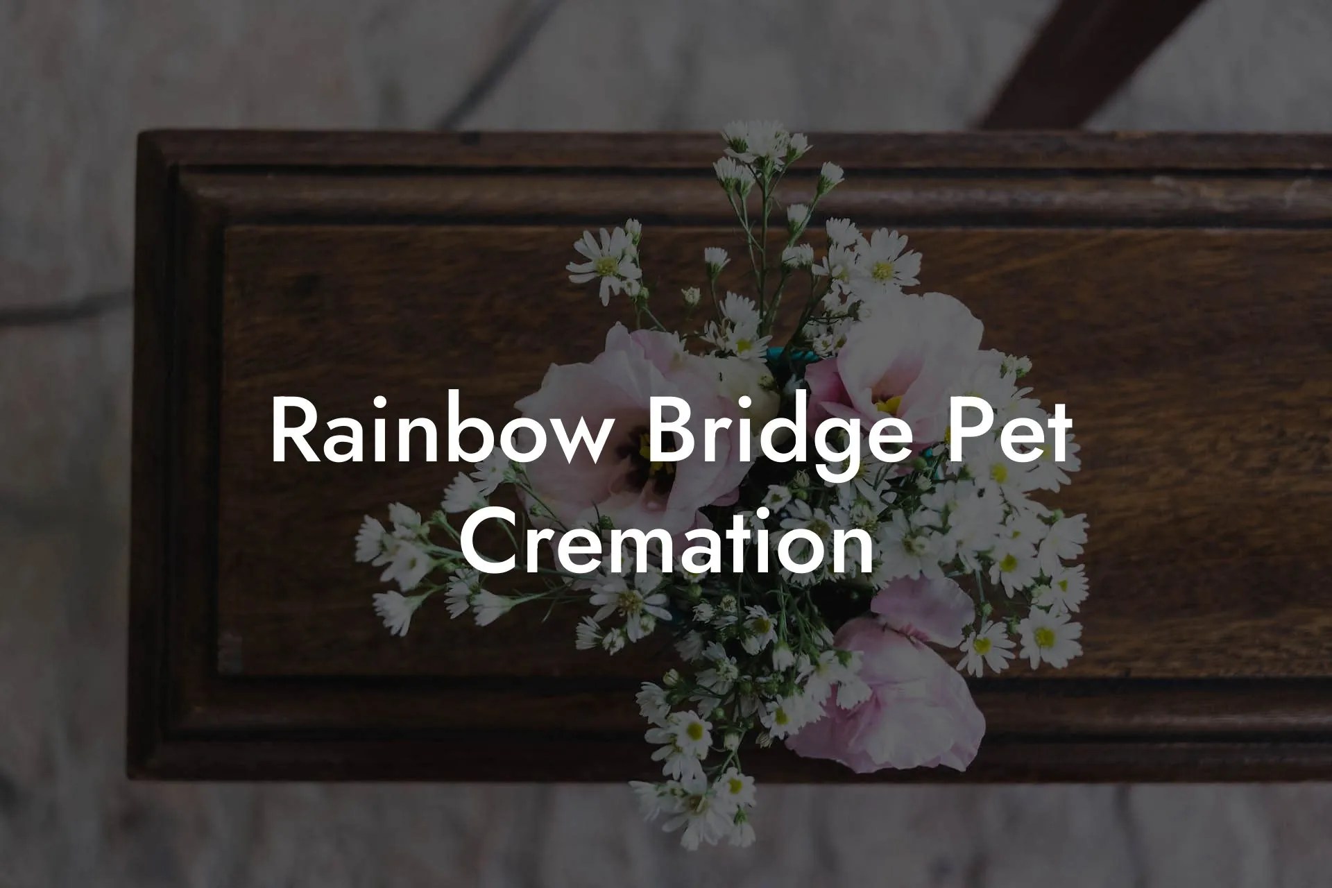 Rainbow Bridge Pet Cremation Eulogy Assistant
