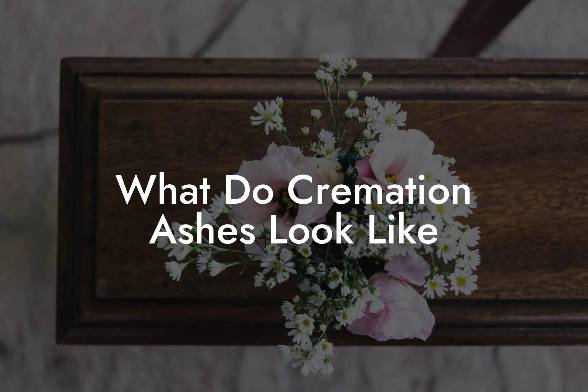 What Do Cremation Ashes Look Like Eulogy Assistant