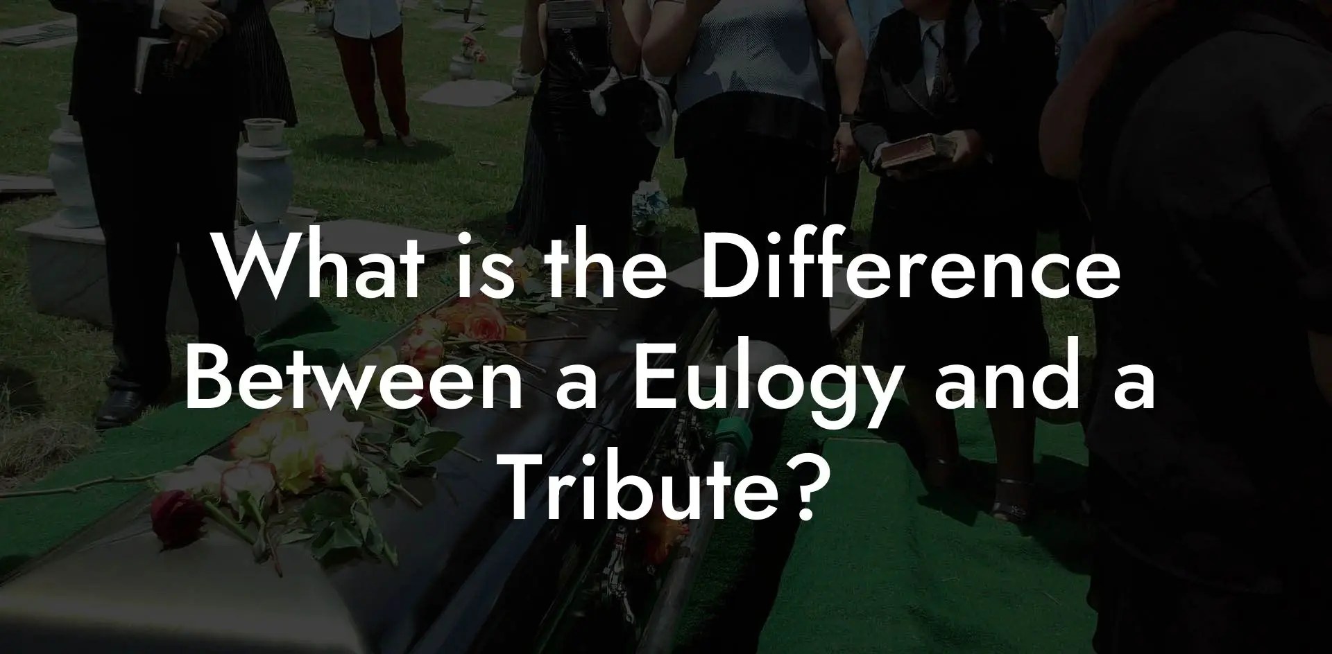 What is the Difference Between a Eulogy and a Tribute? Eulogy Assistant