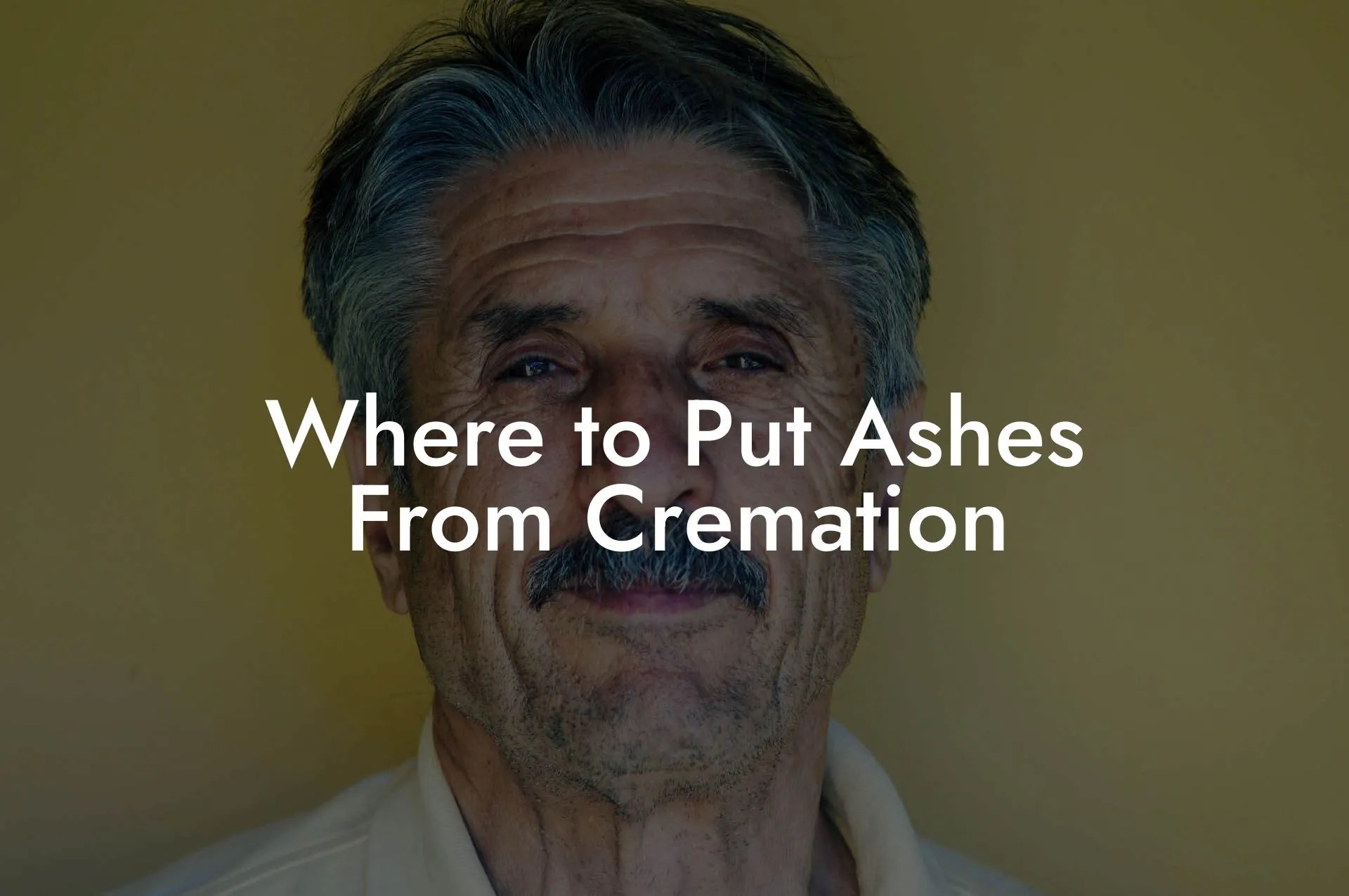 Where to Put Ashes From Cremation Eulogy Assistant