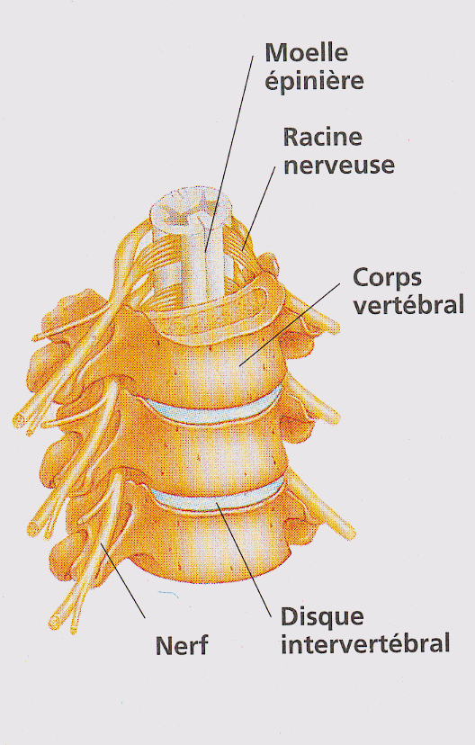 Vision Quantique L'hydrotomie percutanée à l'eau de mer