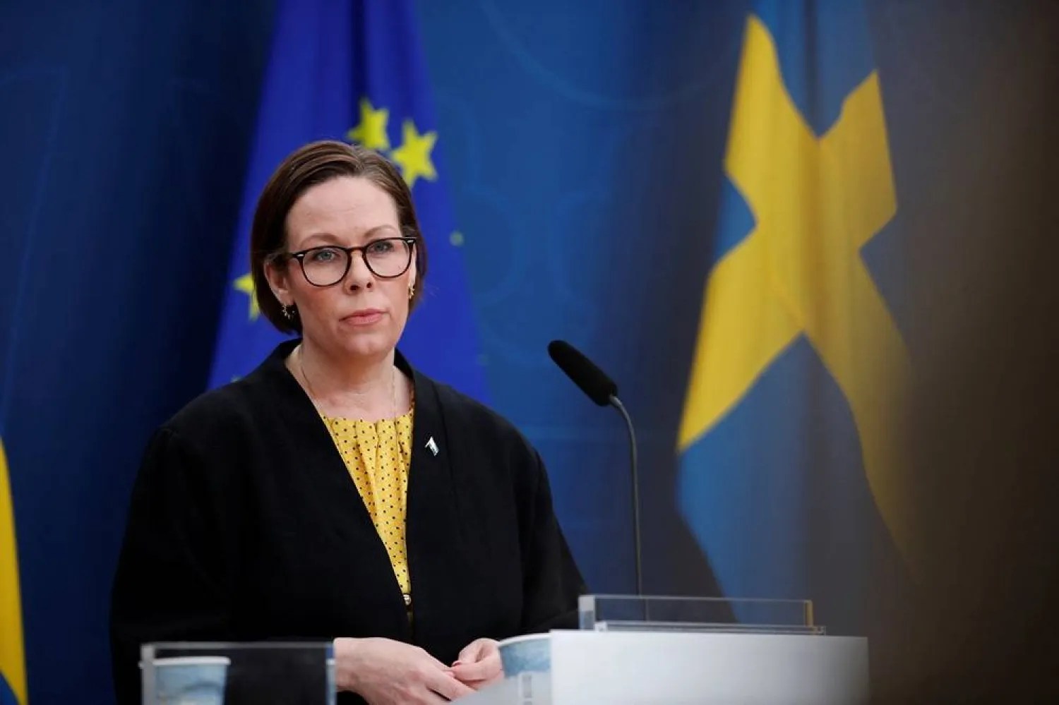 Sweden allocates 116 million in winter aid package to Ukraine