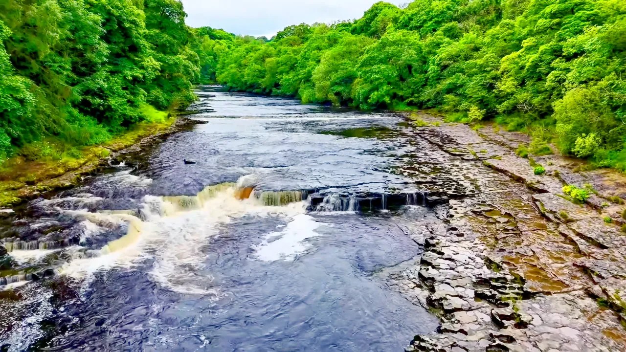 Chutes d'Aysgarth : La Beauté Cascade des Yorkshire Dales - Europa.Tips