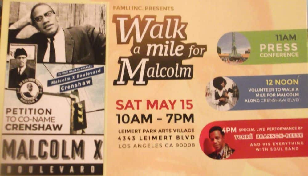 Walk a Mile for Malcolm X Street Naming Campaign / PHOTOS EURweb