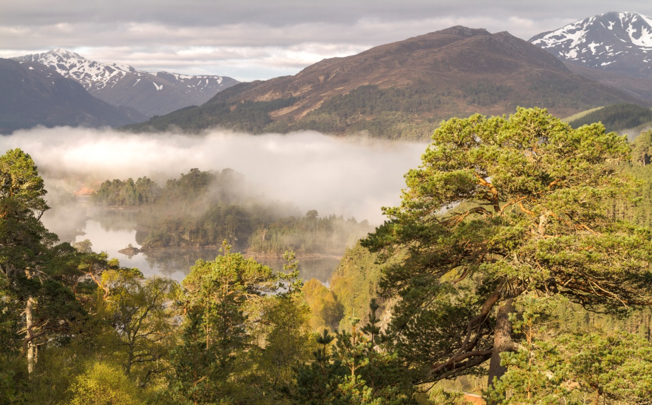 Forestry and Land Scotland A new agency to manage Scottish state forests European State