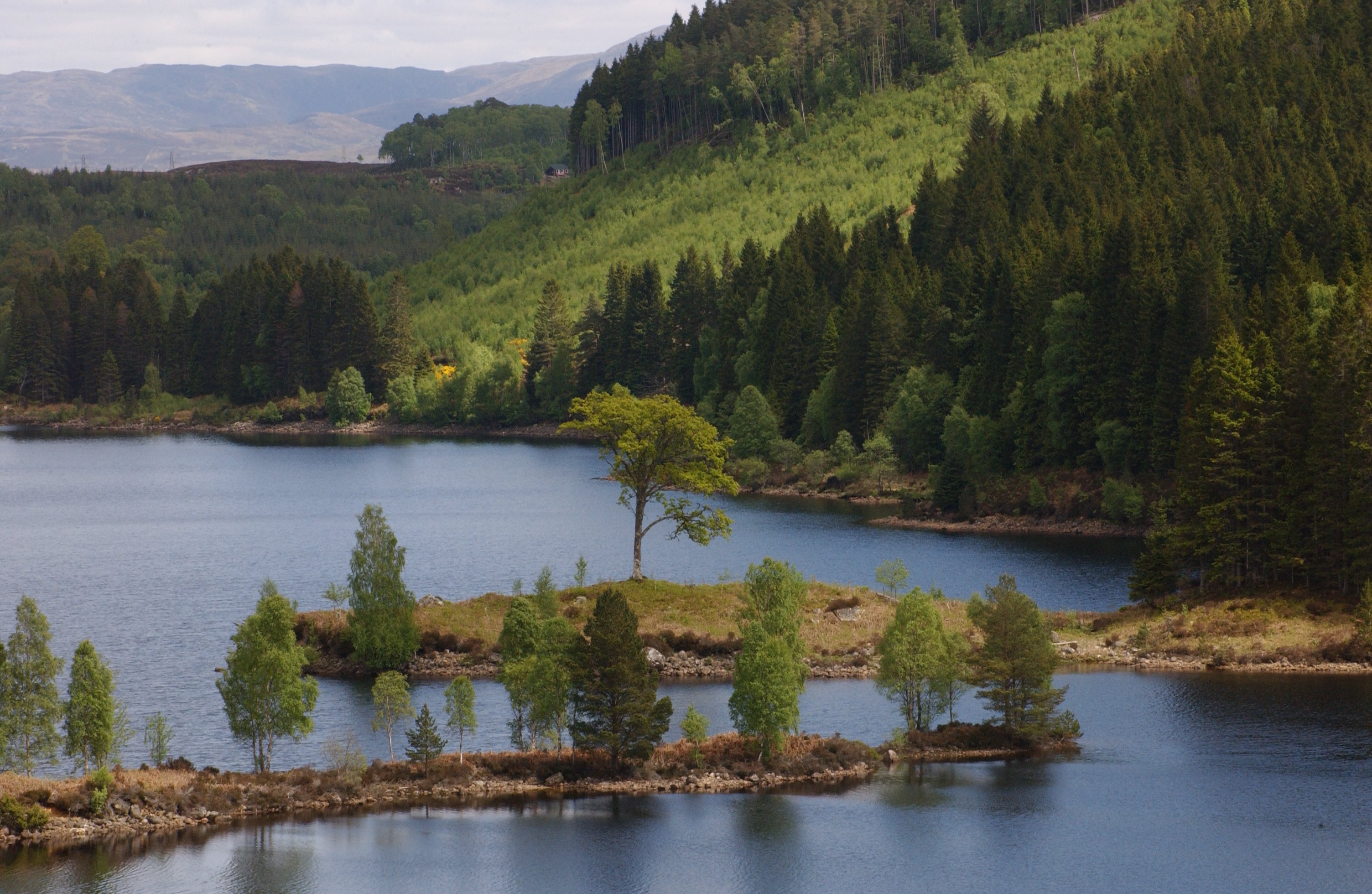 Forestry and Land Scotland A new agency to manage Scottish state forests European State