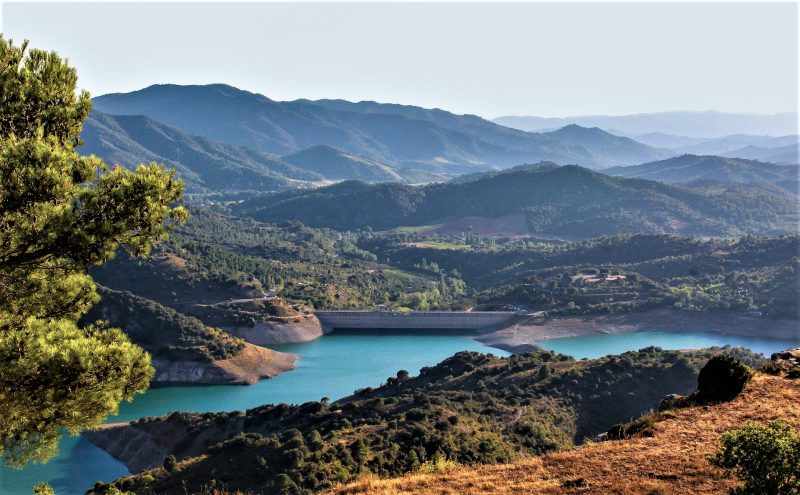 Clima templado Qué es, características, tipos, fauna, flora, cultivos