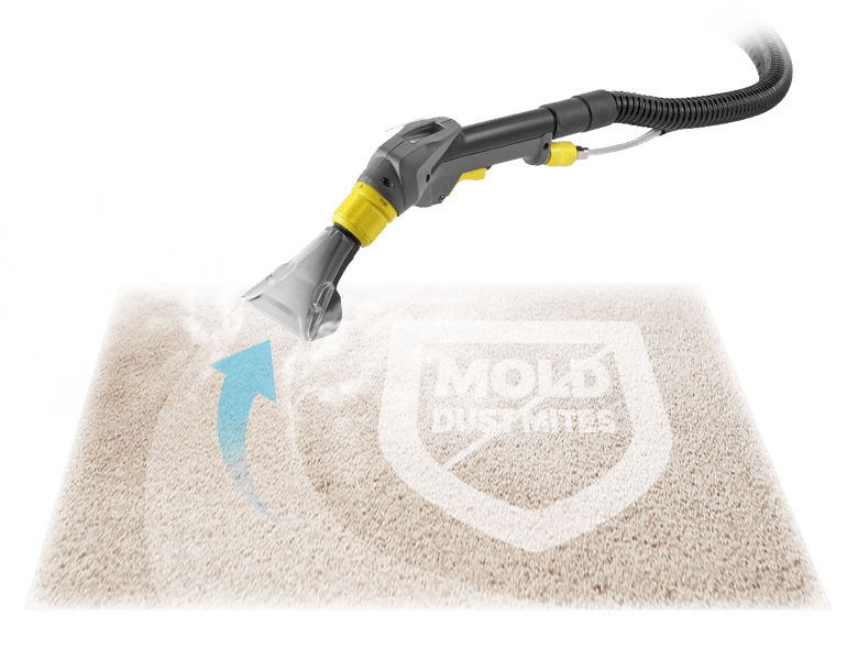 Carpet Cleaning Erith DA8 Eva Cleaners