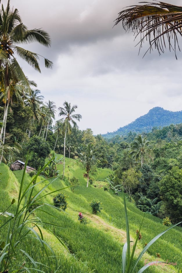Bali 7 Geheimtipps für deinen Trip in den Norden