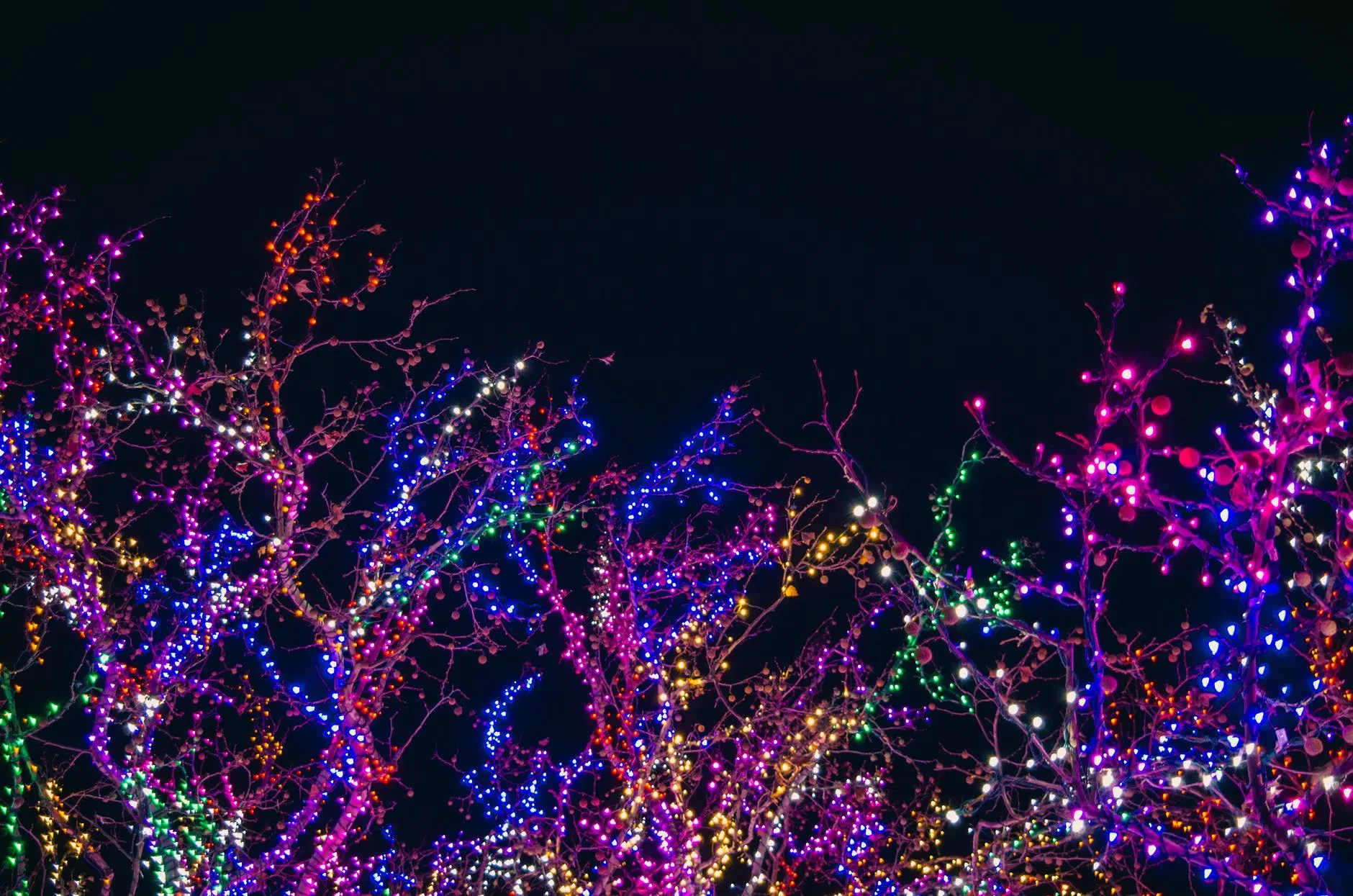 Catch The Holiday Light Show With Our Richmond Tacky Lights Tour