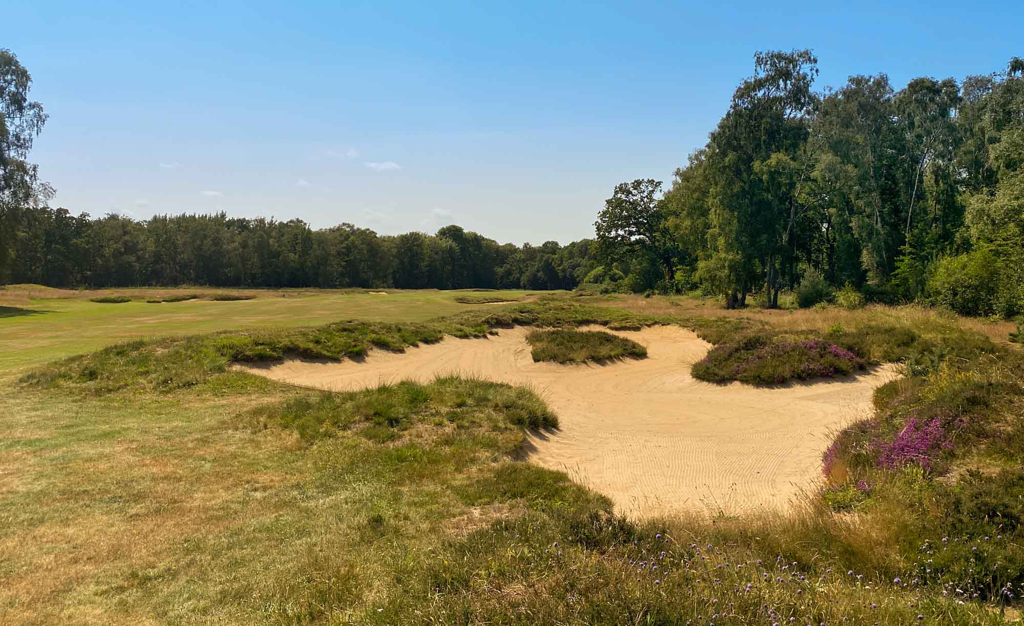 Woodhall Spa Golf Club Evalu18 Hotchkin World Top 100 Golf Course