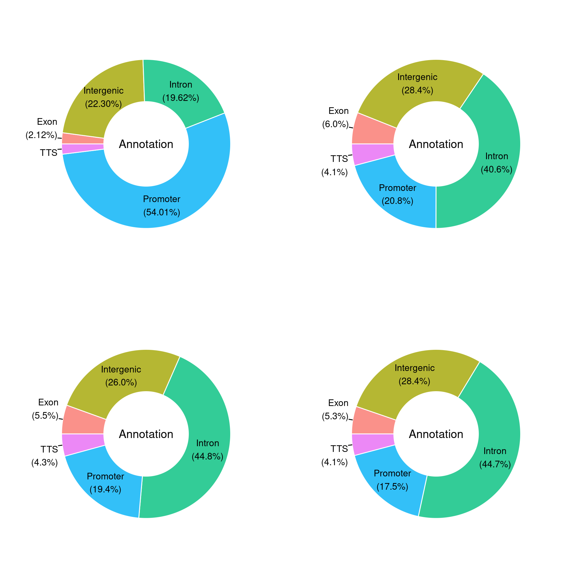 Peak Annotation and Homer Analysis