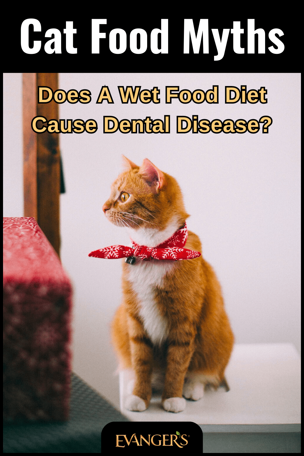 Cat Food Myths Does Canned Food Cause Dental Disease? Evanger's Dog