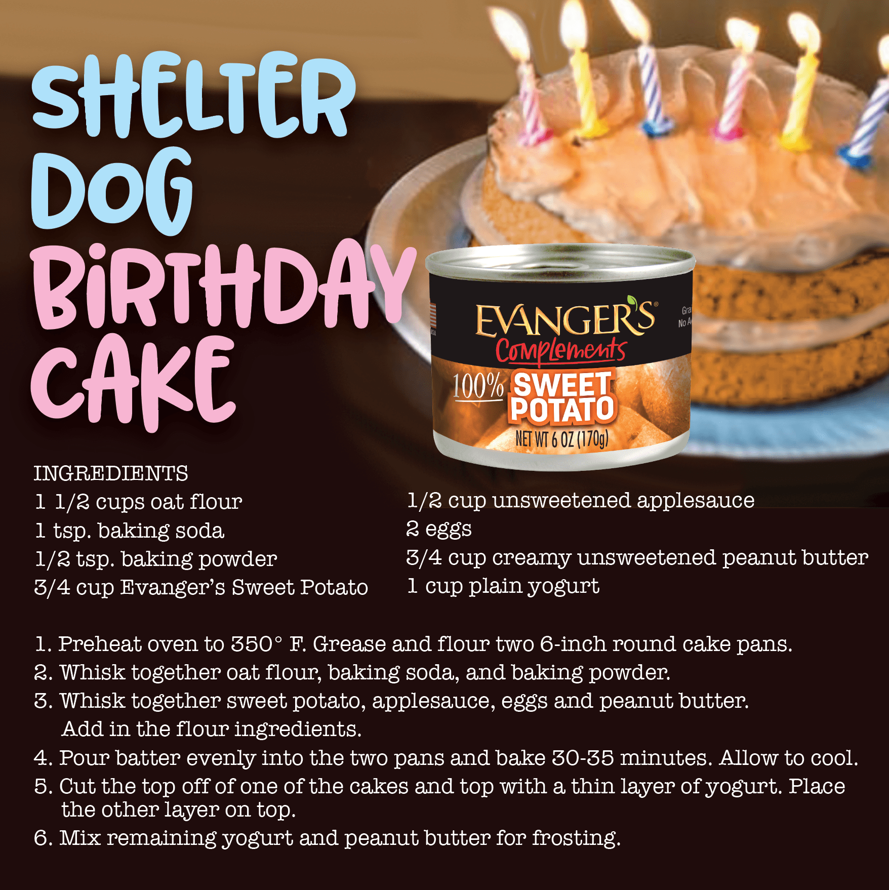 How to Make a Shelter Dog Birthday Cake! Evanger's Dog & Cat Food Co