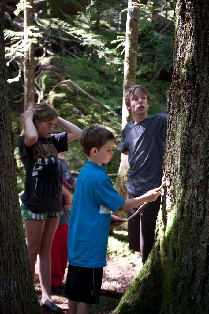 Forest & Outdoor Education Gallery Evans Lake Forest Education Society