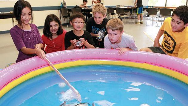 STEM summer camps offered at Oakton Evanston Now