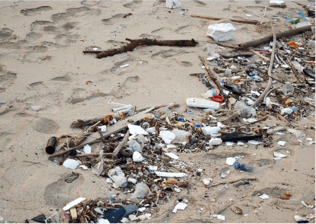 We are Water Plastic pollution crisis 'How do I wean myself away