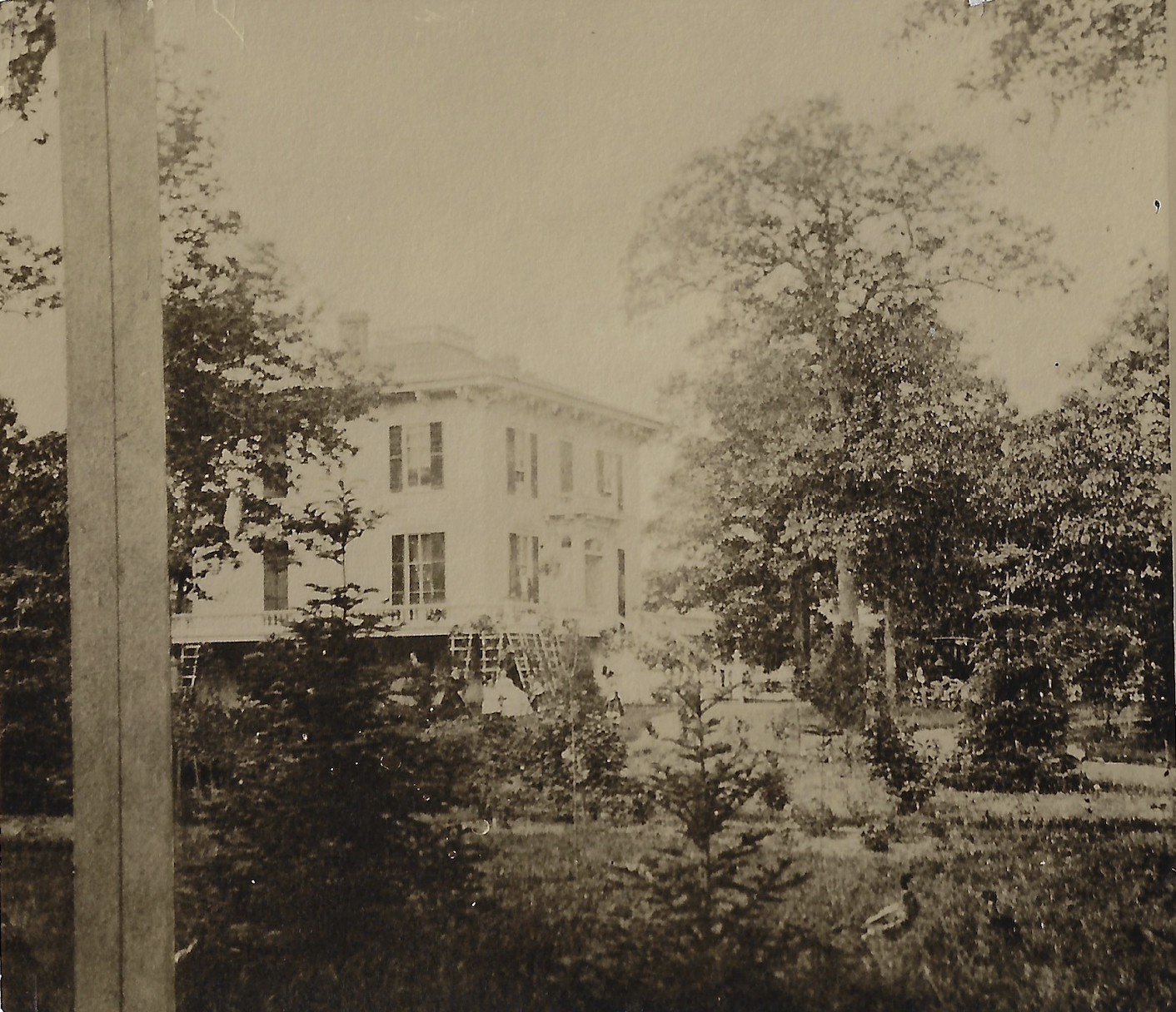 Boom. Bust. Boom On a Stretch of Greenwood Boulevard Evanston RoundTable