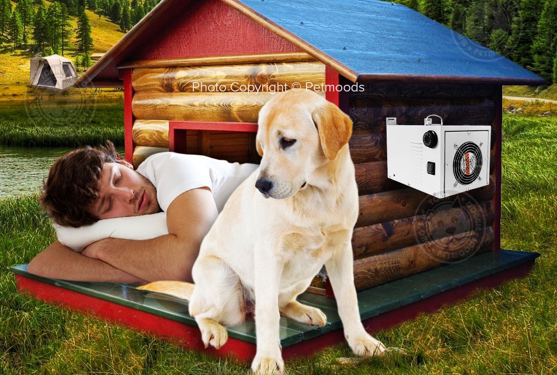 Top 4 Best Dog House Air Conditioners