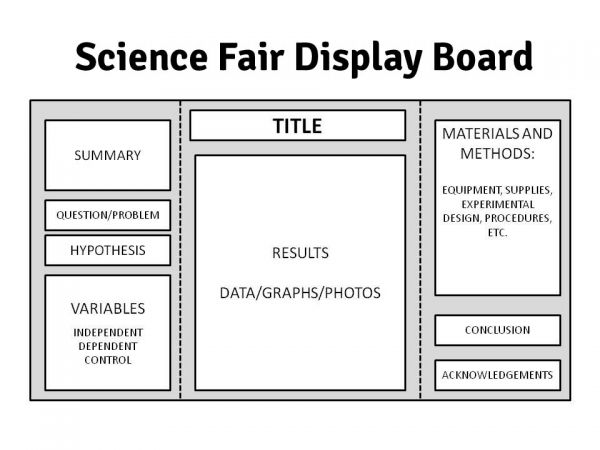 The Ins & Outs of Science Fairs: Preparing Your Display Board