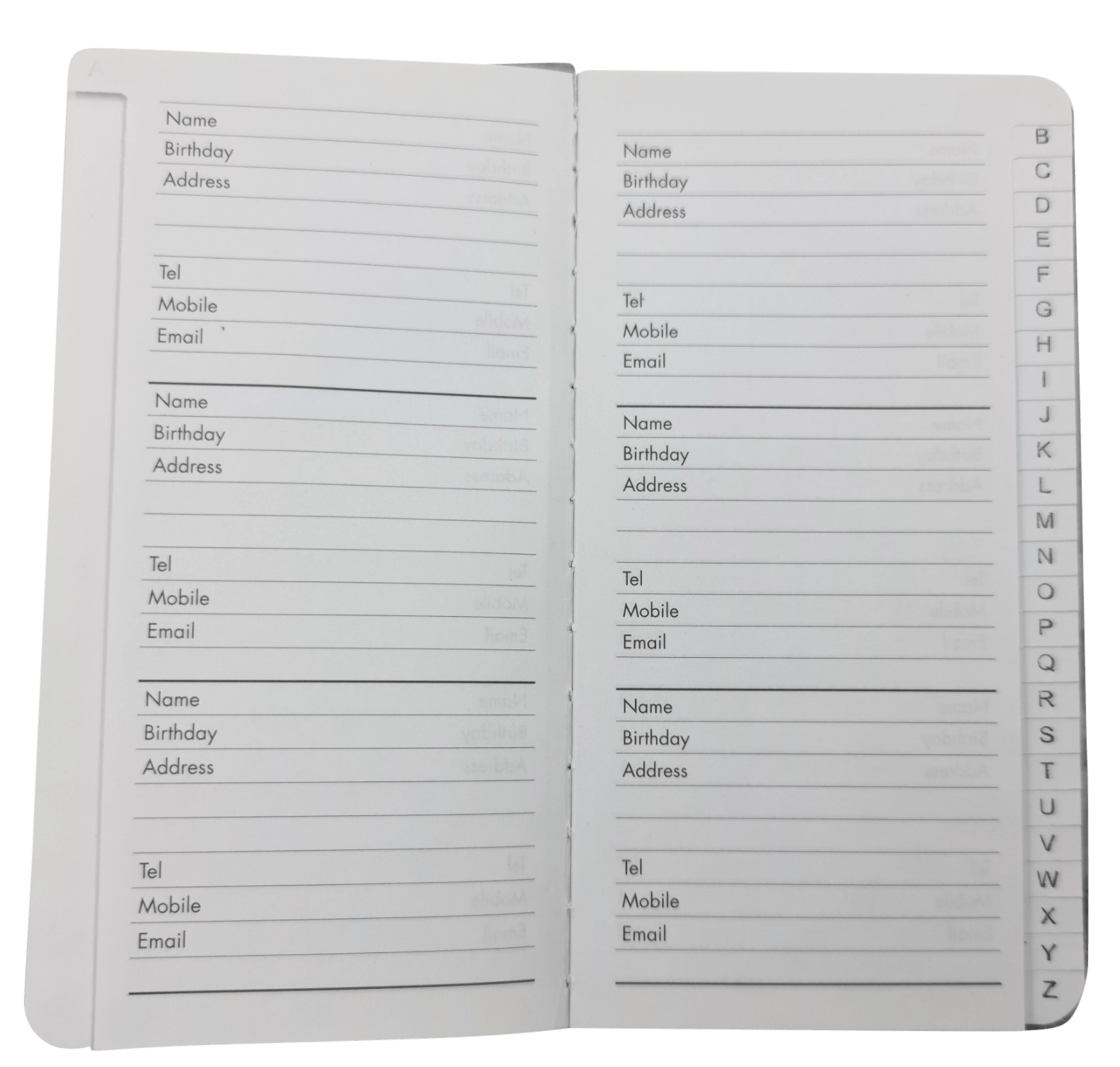 Slim Gold Foil Address Book Evelay