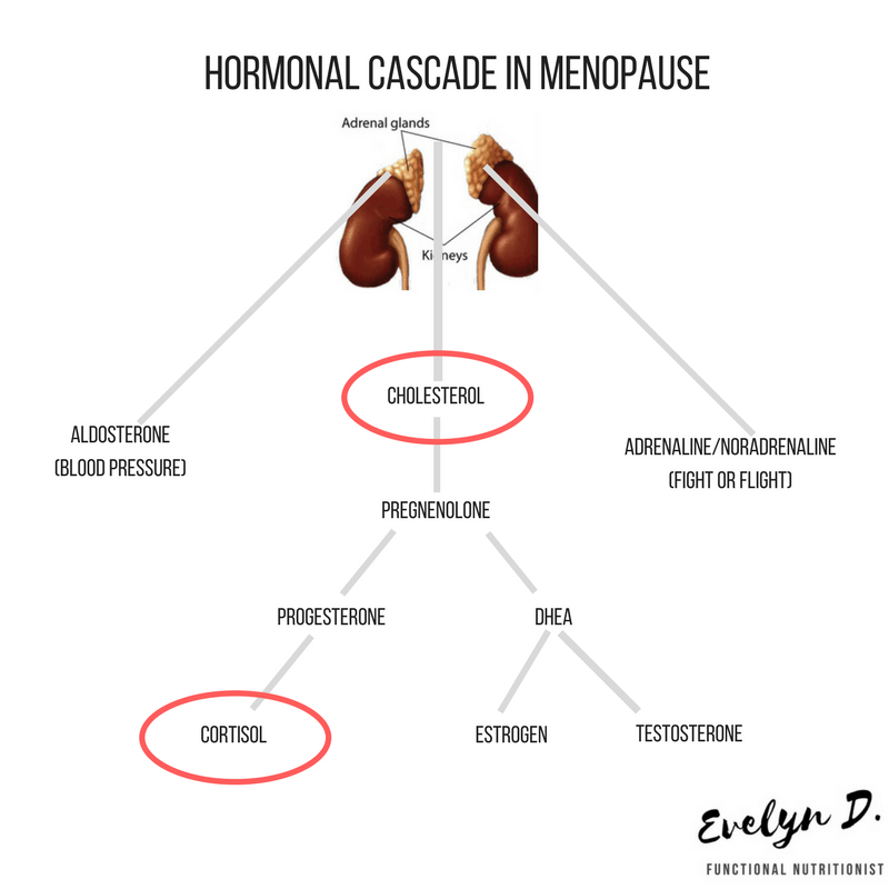 Menopause Weight Gain Why? Plus My Top 3 Tips Evelyn D.