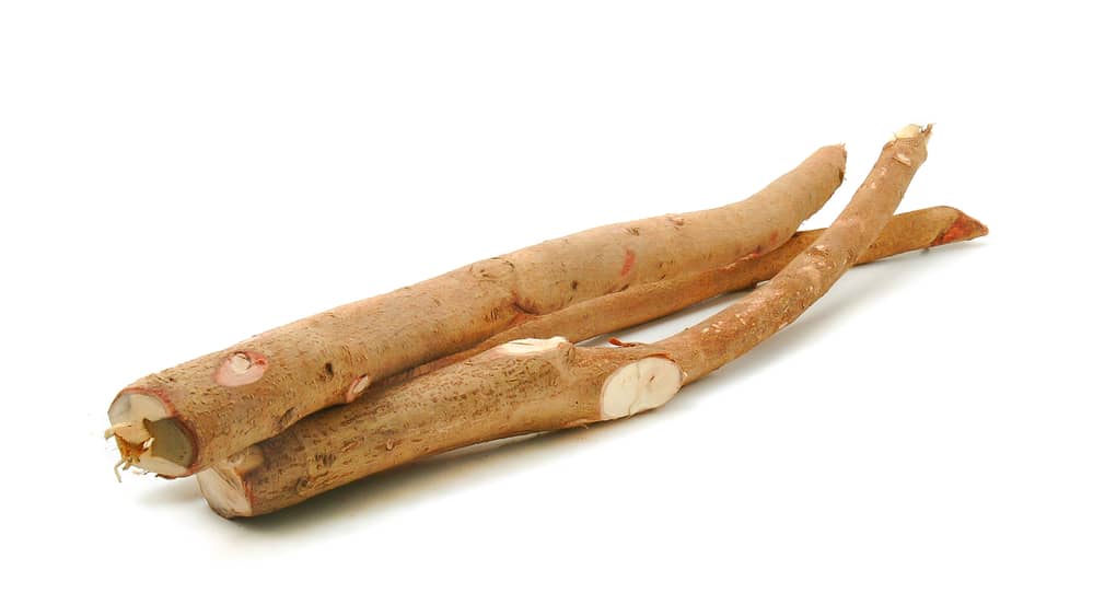 Does Tongkat Ali Really Increase Testosterone? (A Look At The Evidence)