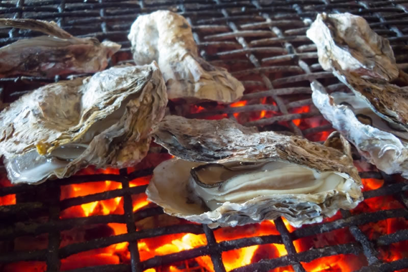 横浜八景島「海の公園かき小屋」11月1日からオープン