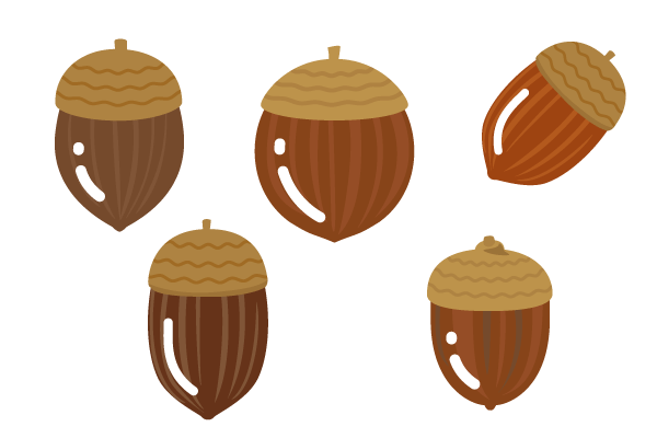 どんぐりの絵 | フリー素材の絵太郎 艶のあるどんぐりイラスト – Events Design