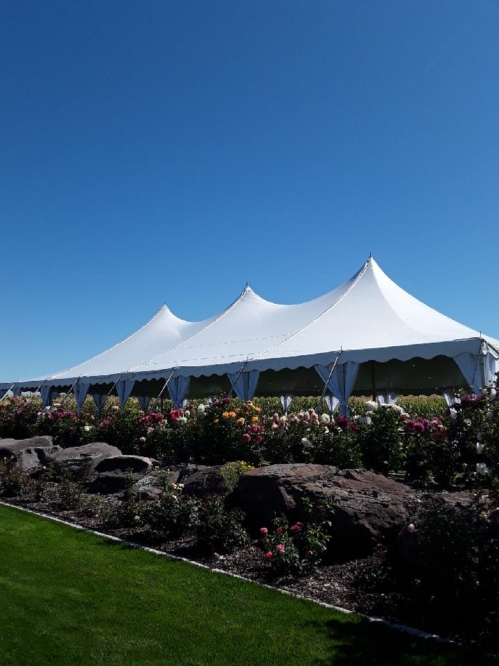 Pole Tents Tents Event Rents