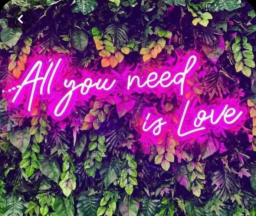 Neon Sign Hire All You Need is Love