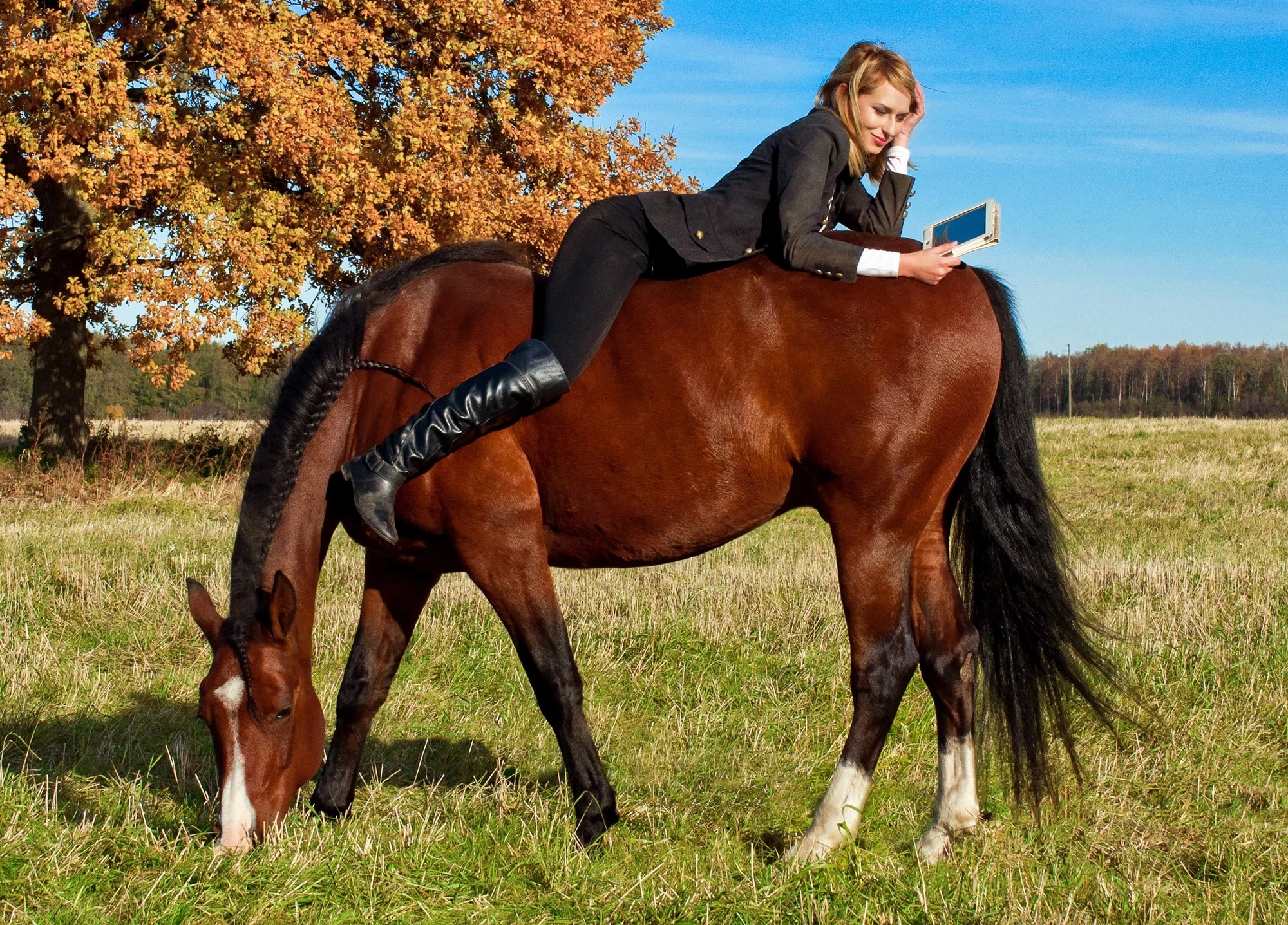 Equestrian and Horse Business Ideas for 2022 Eventing Guide