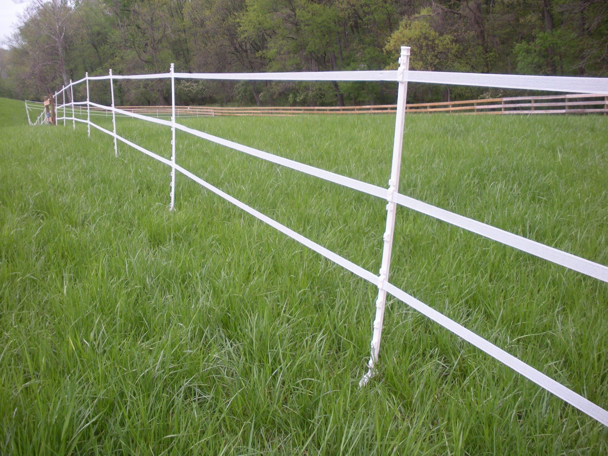 What Type of Fencing Should I Use for My Horse? Eventing Guide