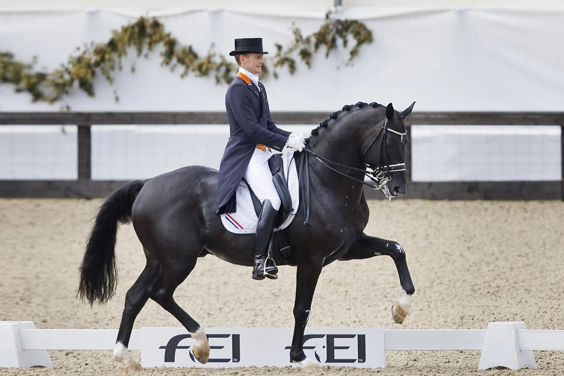 The Most Expensive Horses Ever Sold Eventing Guide