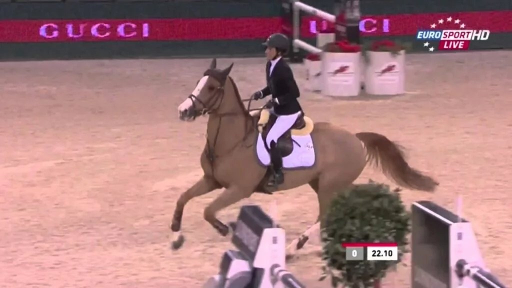 The Most Expensive Horses Ever Sold Eventing Guide