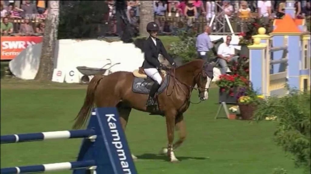 The Most Expensive Horses Ever Sold Eventing Guide