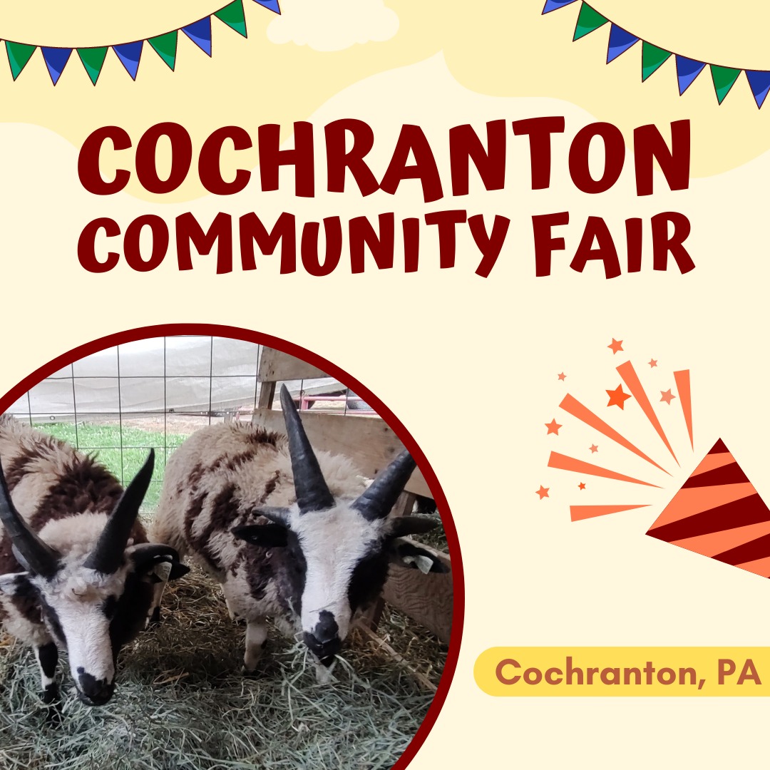Cochranton Community Fair 2024 Eventlas