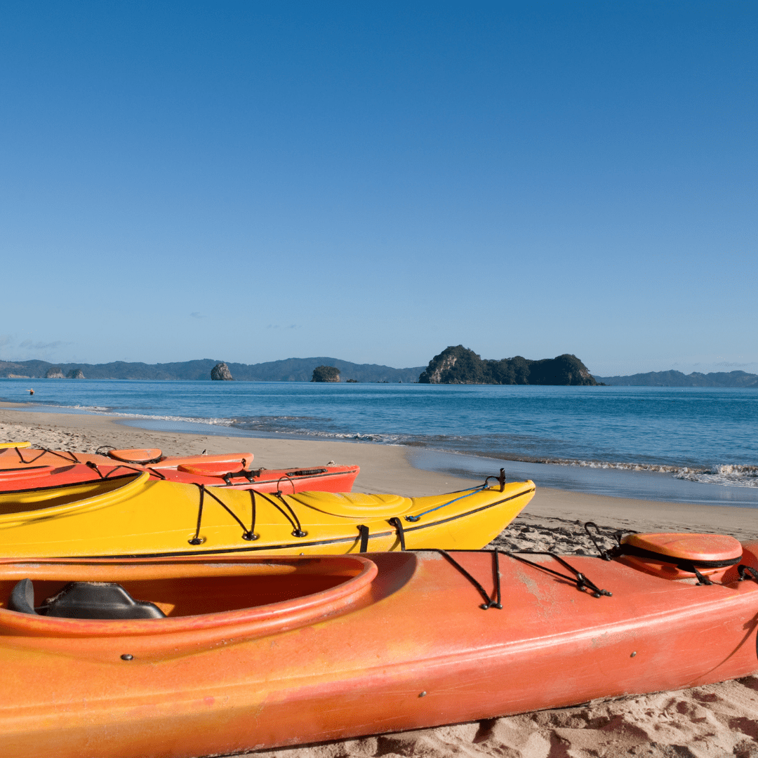 Santa Cruz, CA Elkhorn Slough Kayak Tour Johns Hopkins Events