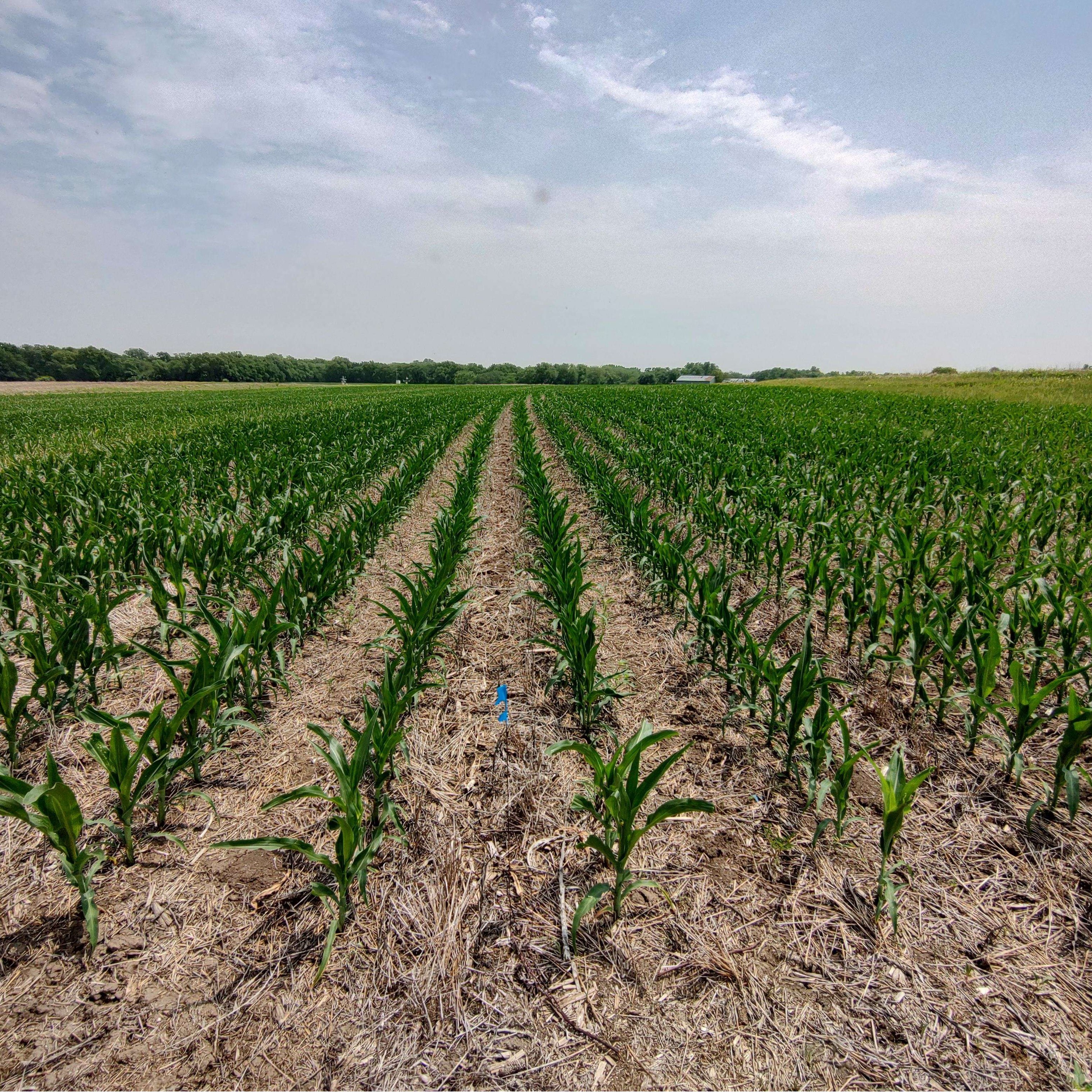 UNL Nebraska Extension Custer County Events
