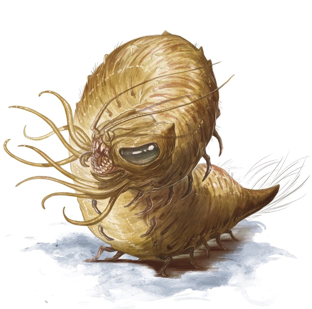 Most Scary Monsters in D&D 5E Top 15 Terrifying Creatures