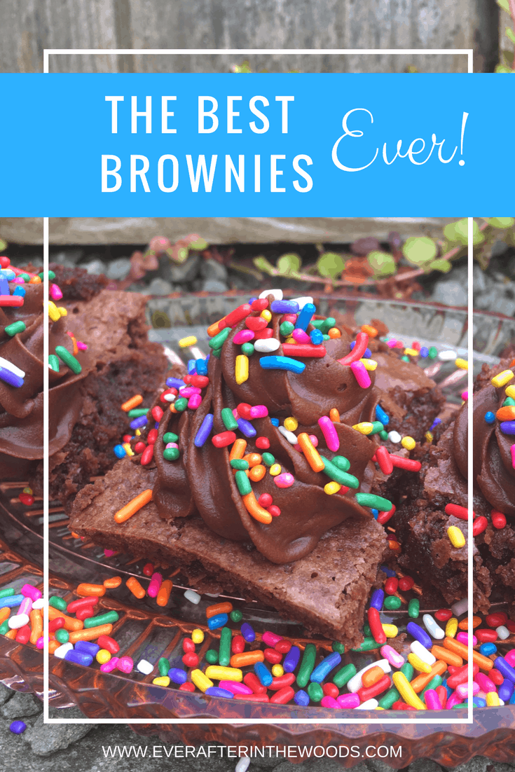 Best Brownies Ever Recipe Ever After in the Woods