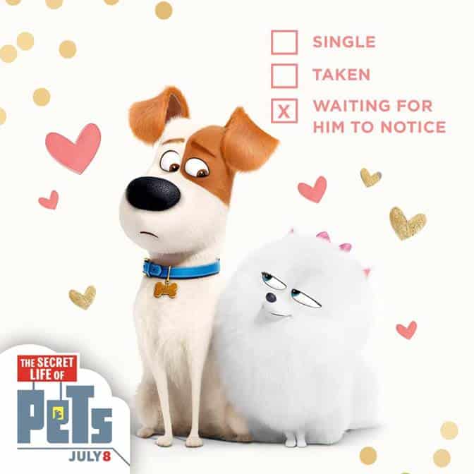 Pets At Home Movie littleobsessionsdigest